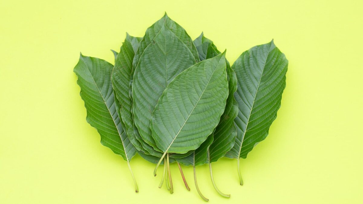 Kratom Leaves