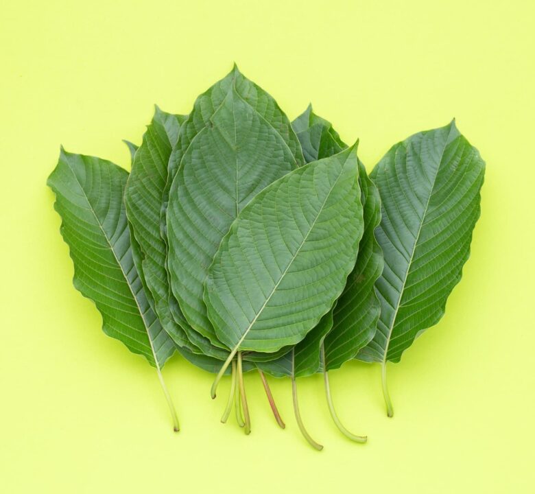 Kratom Leaves