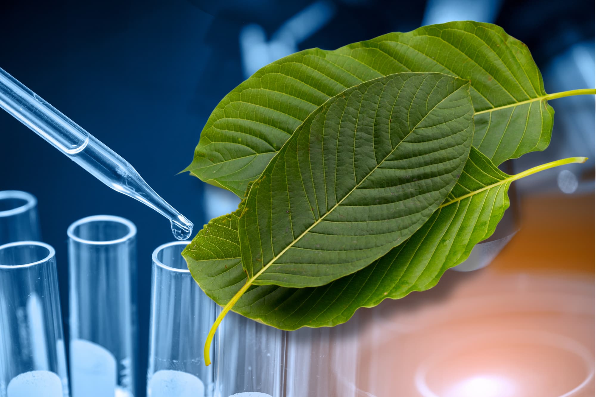 Alkaloid content is a key property of kratom