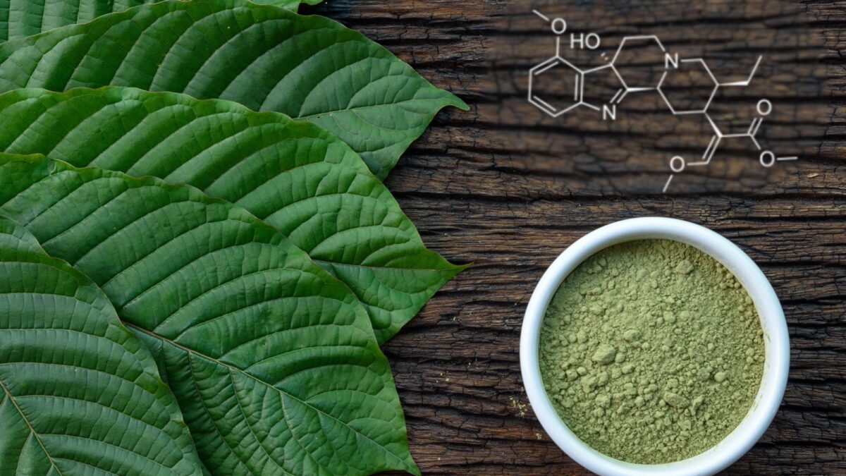 What Do We Know About this Kratom Alkaloid