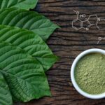 What Do We Know About this Kratom Alkaloid