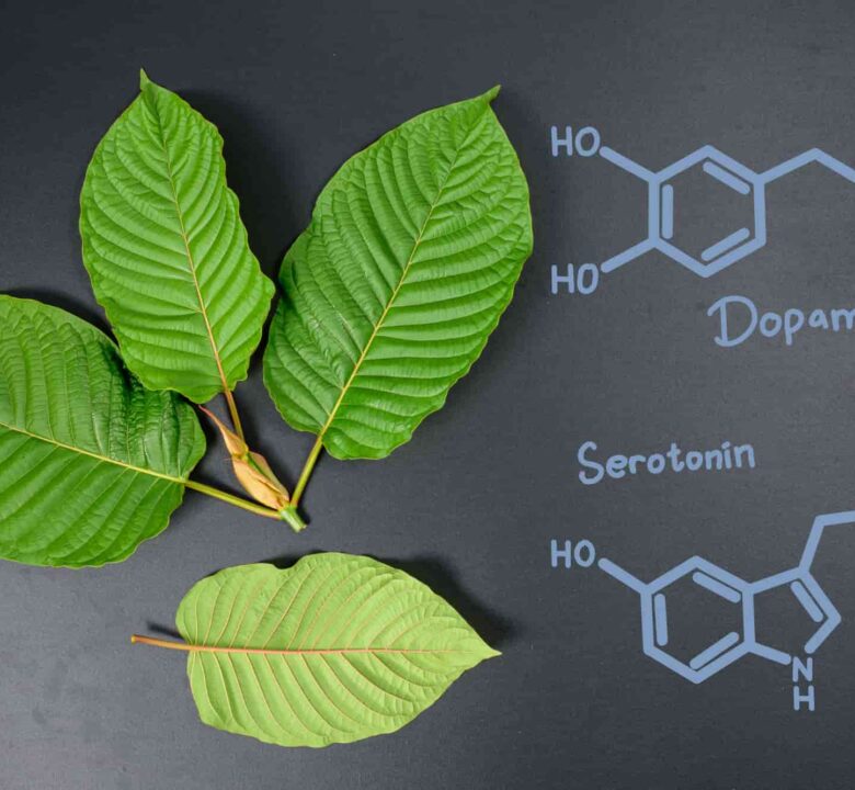 The potential effects of Kratom on serotonin and dopamine levels according to research.