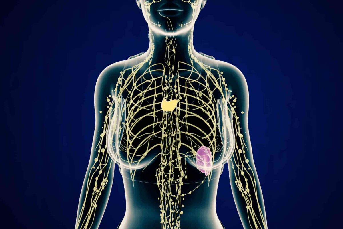 Lymph nodes serve as one of the body's primary defenses against harmful bacteria, pathogens, and viruses.