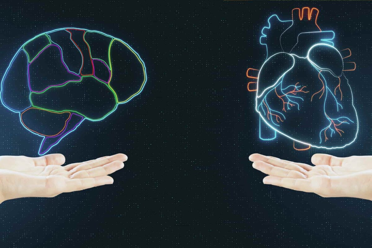 Corynoxeine's antioxidant properties may also improve brain function and heart health.