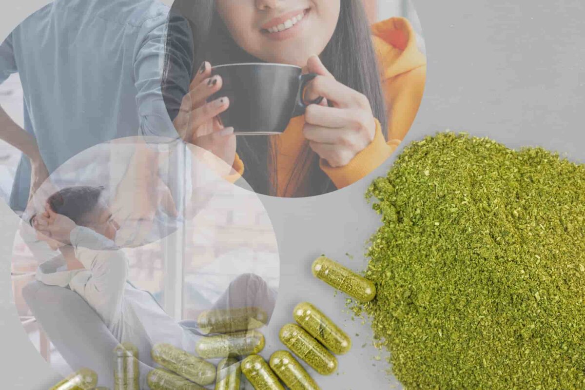 Kratom may reduce inflammation, relieve pain, enhance mood, and manage opioid withdrawal.