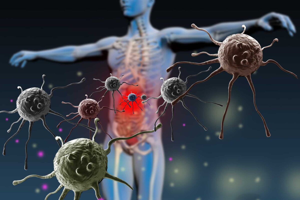 Chronic inflammation disrupts homeostasis and weakens the immune system.