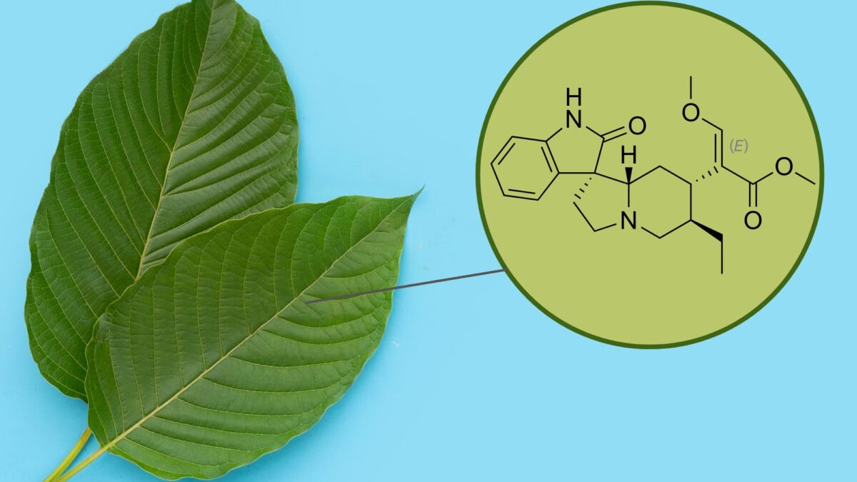 Isorhynchophylline in Kratom to Boost Immunity