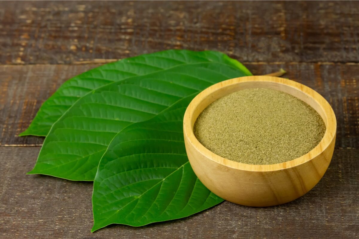 Kratom or Mitragyna speciosa is a tree native to Southeast Asia